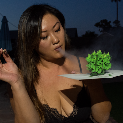 Woman holding a tray with a small green plant in an outdoor setting