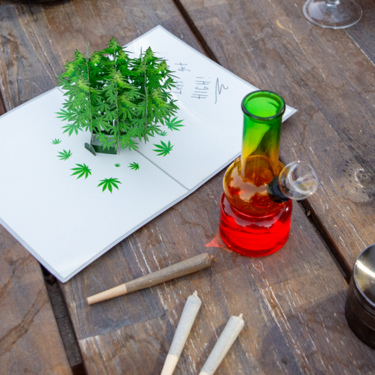 Drug paraphernalia including a bong, cannabis plants, and rolling papers on a wooden table.