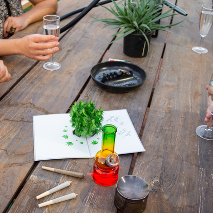 Drug paraphernalia including a bong, pipes, and a plant on a wooden table.